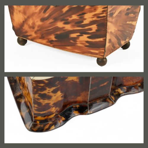 Tortoise Shell example