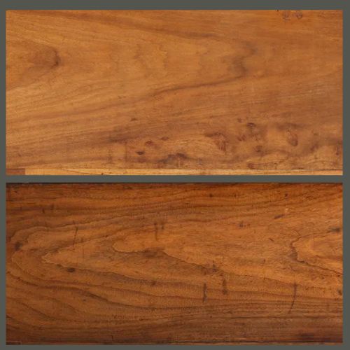 Camphorwood example