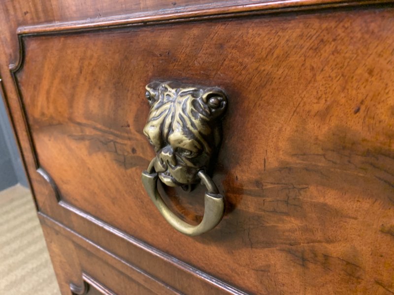 George III Mahogany Secretaire Bookcase