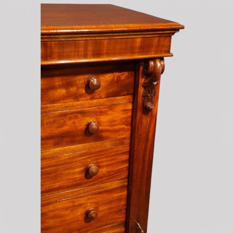 Victorian mahogany Wellington chest