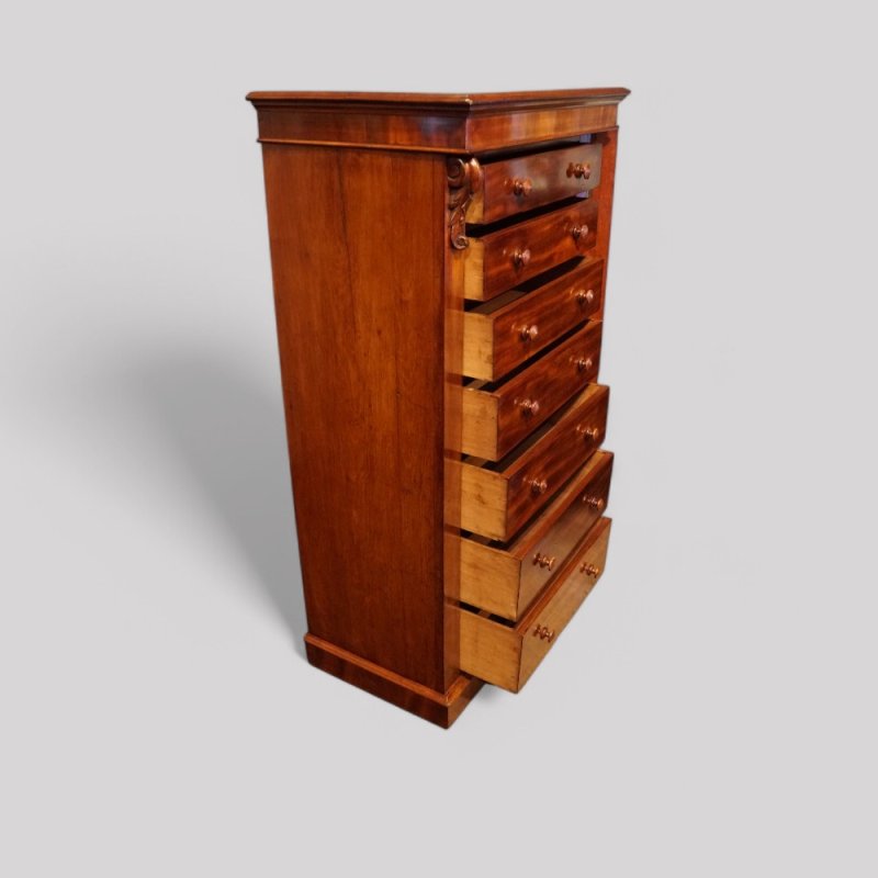 Victorian mahogany Wellington chest