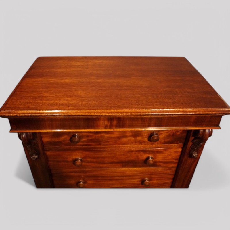 Victorian mahogany Wellington chest