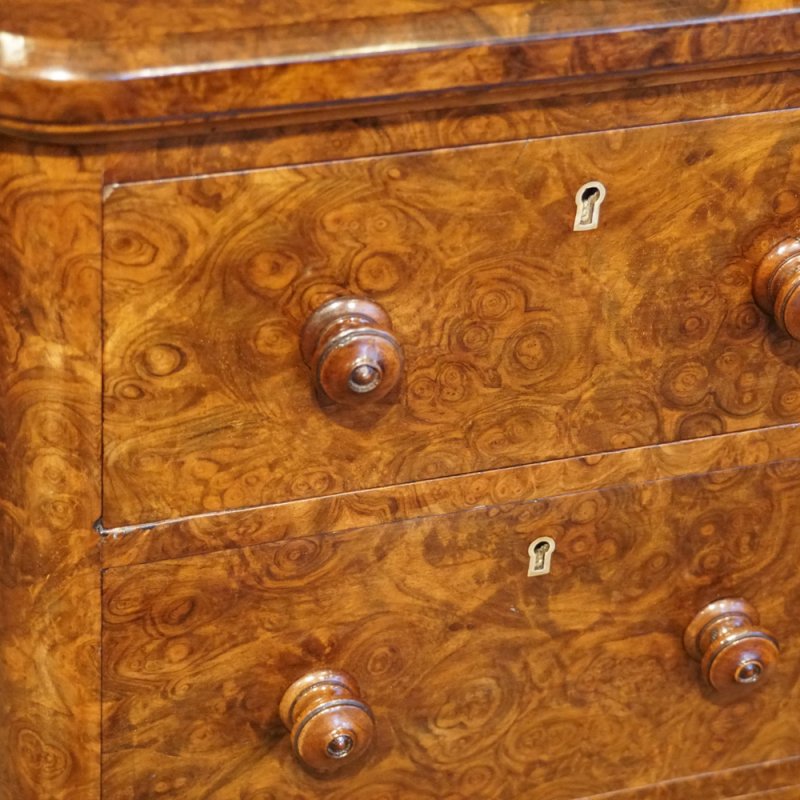 Victorian burr walnut pedestal chest
