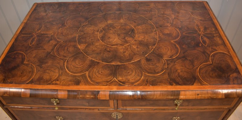 Oyster Laburnum Chest Of Drawers