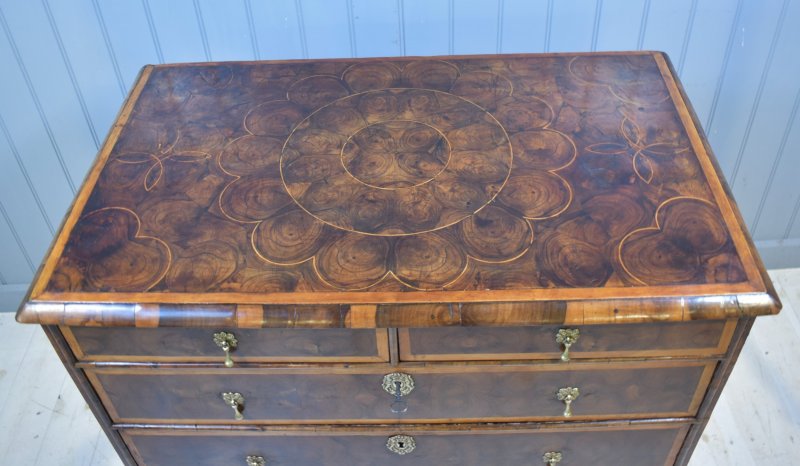 Oyster Laburnum Chest Of Drawers