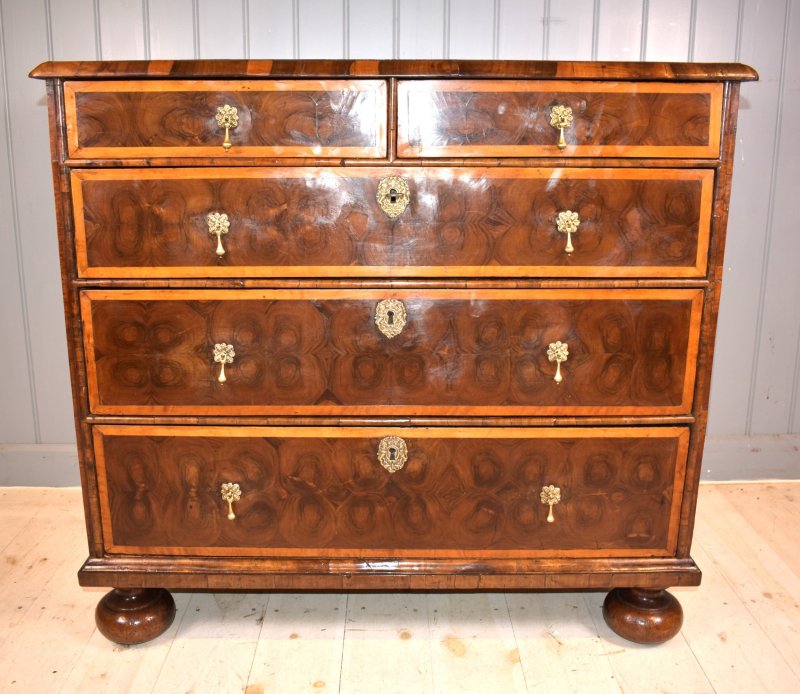 Oyster Laburnum Chest Of Drawers
