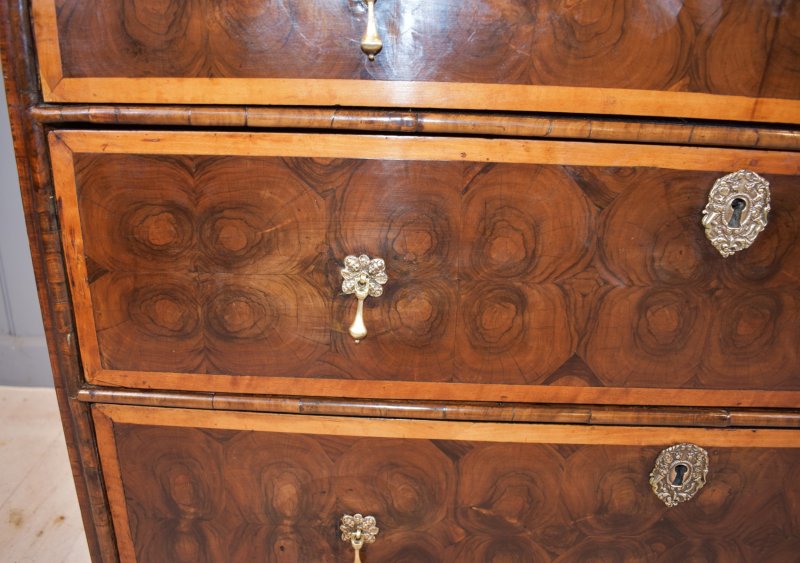 Oyster Laburnum Chest Of Drawers