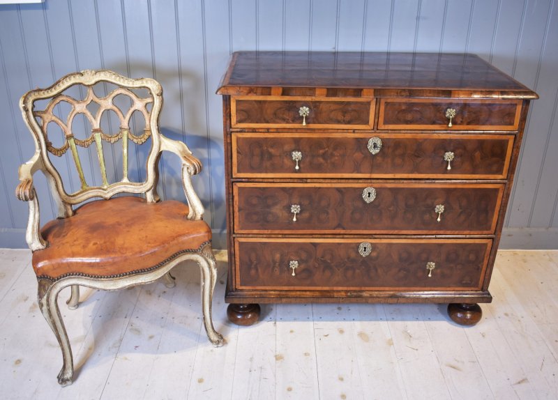 Oyster Laburnum Chest Of Drawers