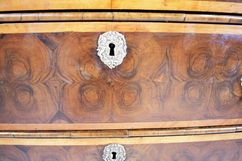 Oyster Laburnum Chest Of Drawers