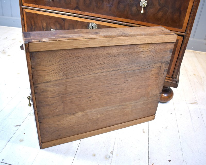 Oyster Laburnum Chest Of Drawers