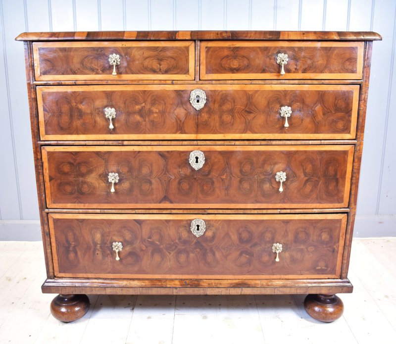 Oyster Laburnum Chest Of Drawers