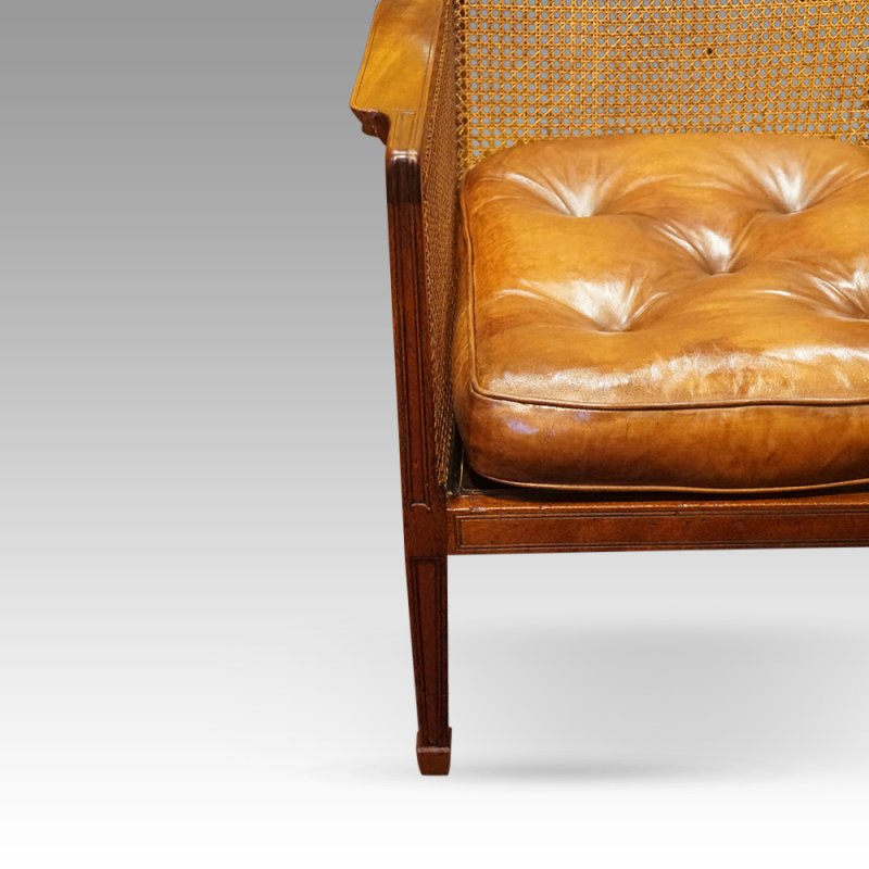 19thc mahogany library chair