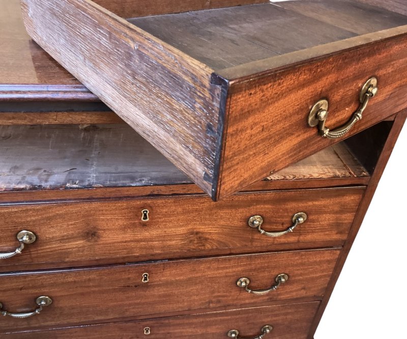 Georgian Mahogany Bachelors Chest