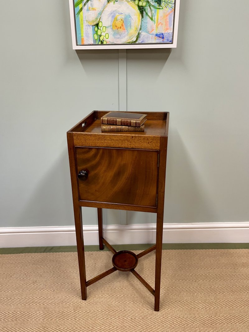 Georgian mahogany bedside pot cupboard
