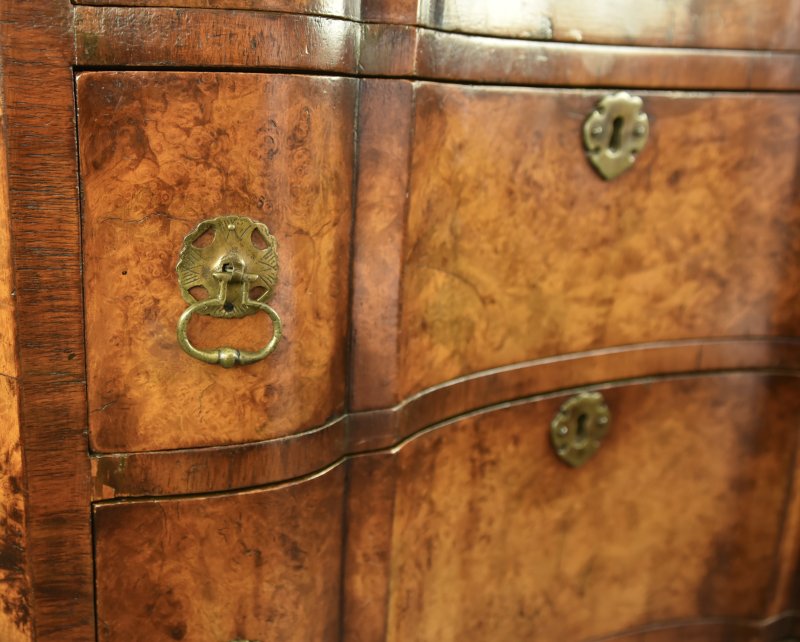 walnut Queen Anne style tall boy chest of drawers