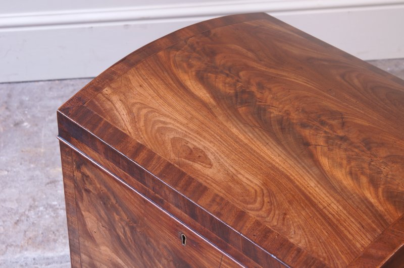 Early 19th Century Regency Mahogany Wine Cooler Cellarette. - Image 11