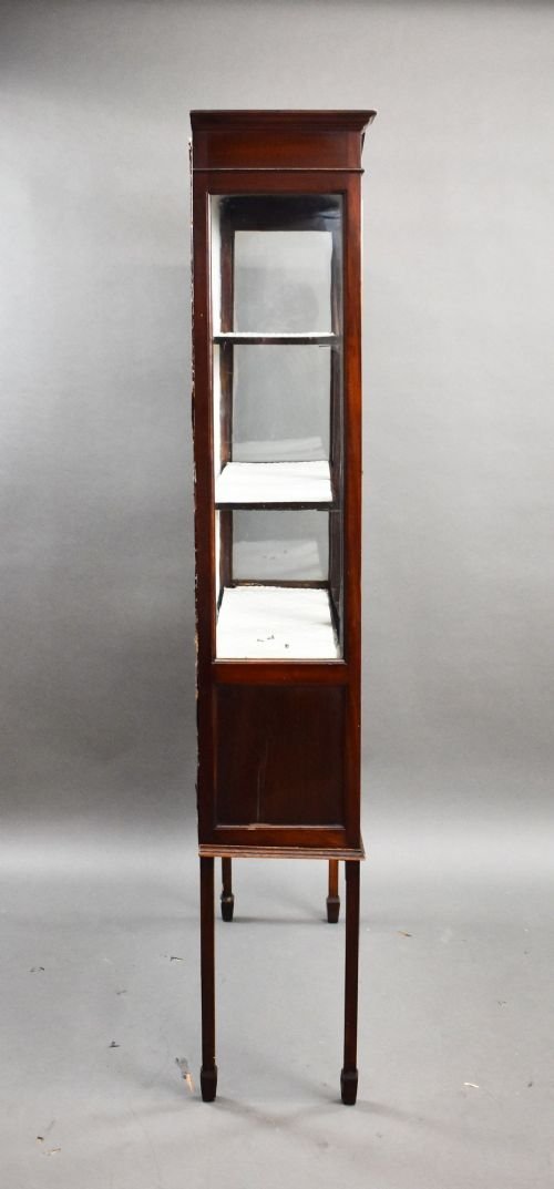 Edwardian Mahogany Hand Painted China Cabinet