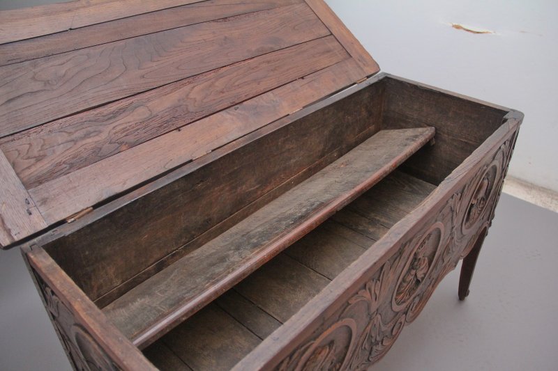 Early 19th Century French carved oak coffer