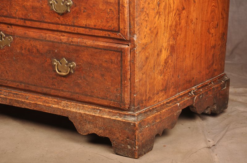 Exceptional Early 18th Century Burr Elm Bureau