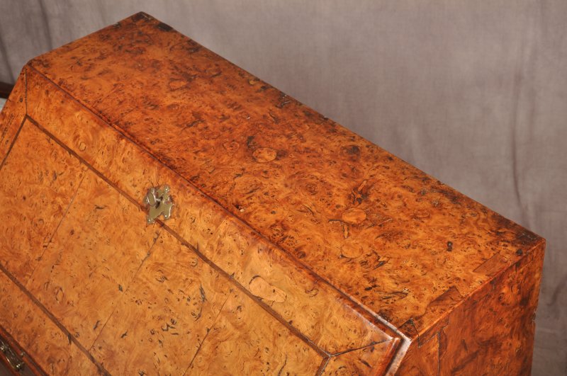 Exceptional Early 18th Century Burr Elm Bureau