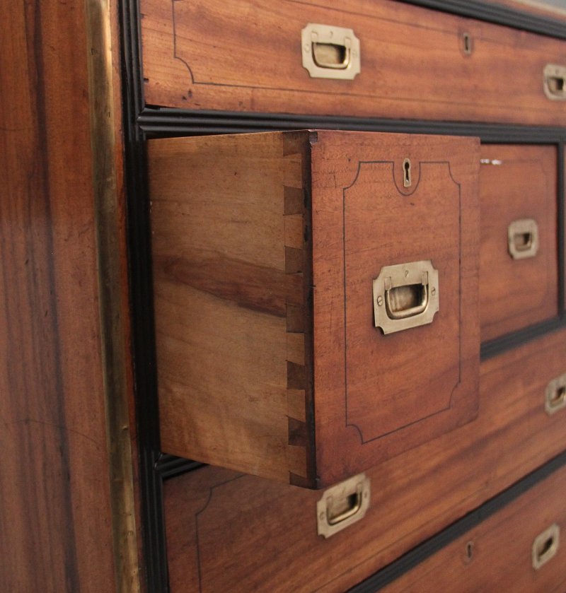 19th Century camphor wood secretaire military chest