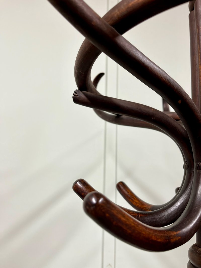 19th Century Bentwood Coat Hat Stand