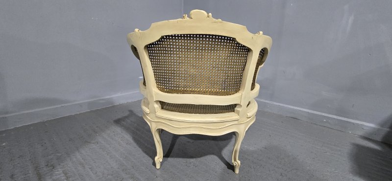 Superb French Bergere Tub Chair