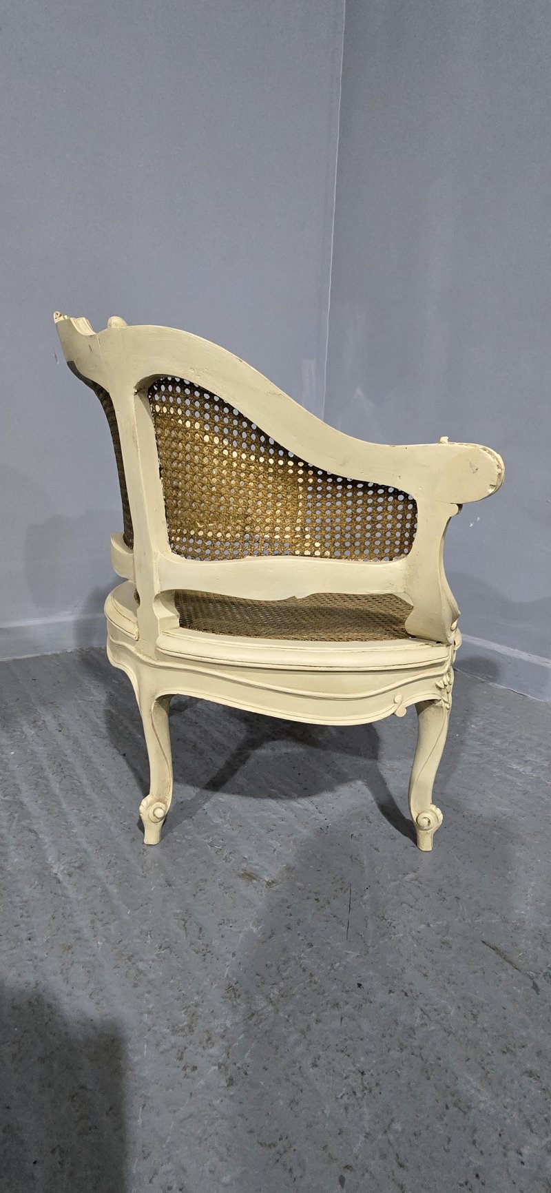 Superb French Bergere Tub Chair