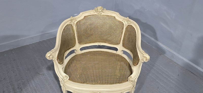 Superb French Bergere Tub Chair