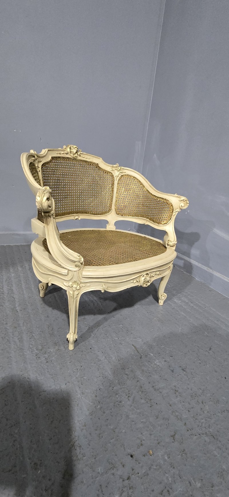 Superb French Bergere Tub Chair