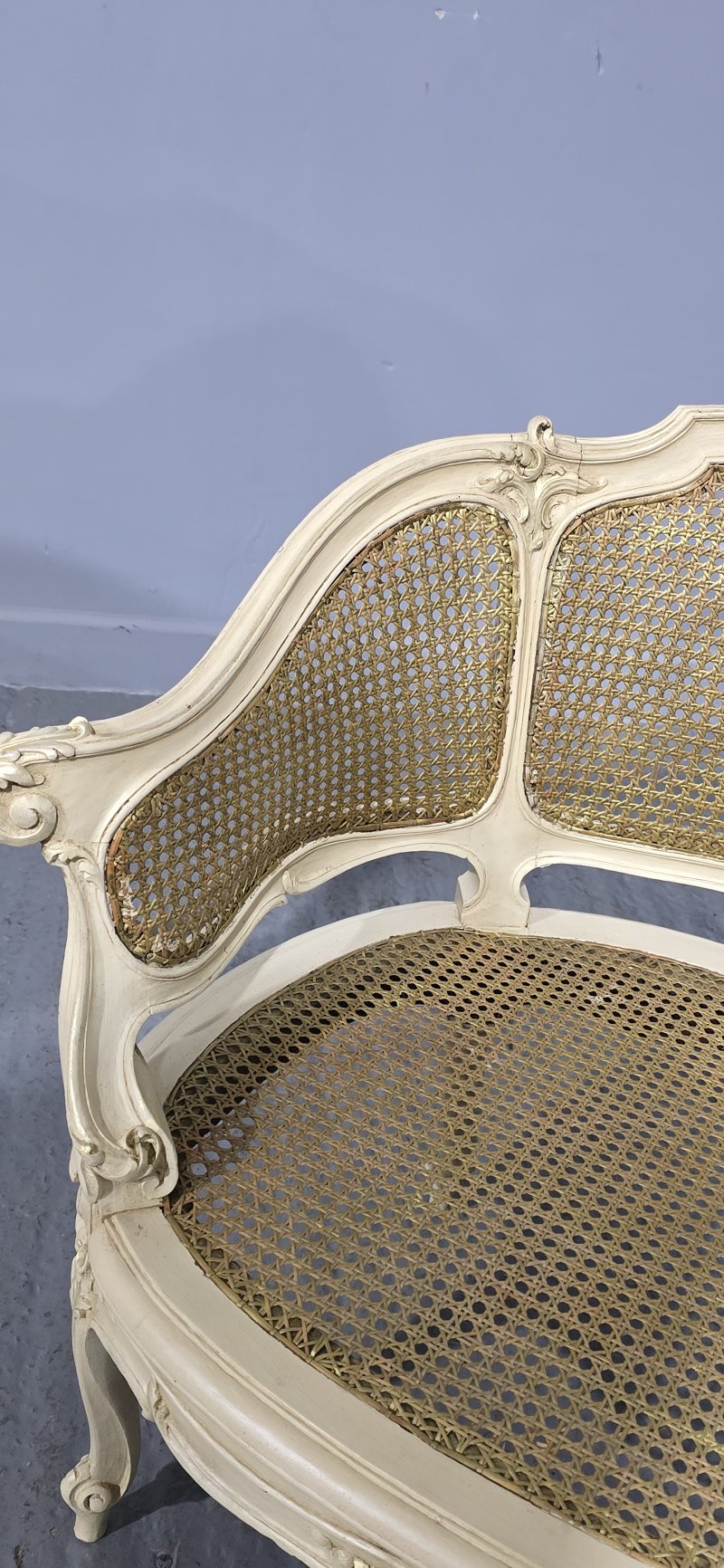 Superb French Bergere Tub Chair
