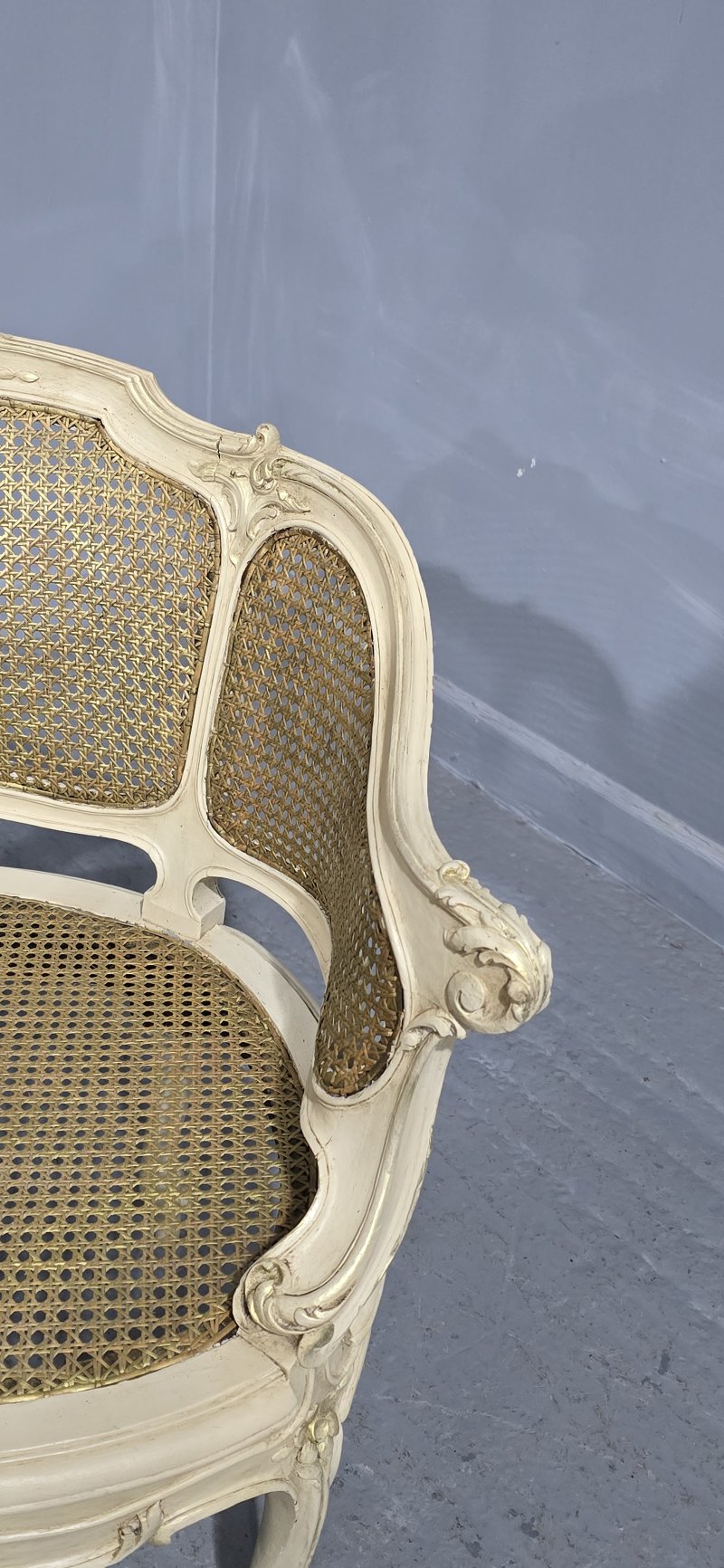 Superb French Bergere Tub Chair