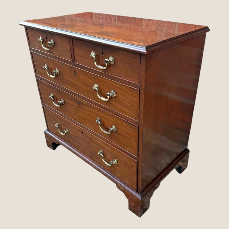 Small Antique Georgian Cuban Mahogany & Walnut Crossbanded Chest Of Drawers
