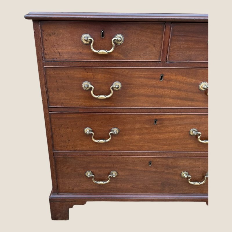 Small Antique Georgian Cuban Mahogany & Walnut Crossbanded Chest Of Drawers