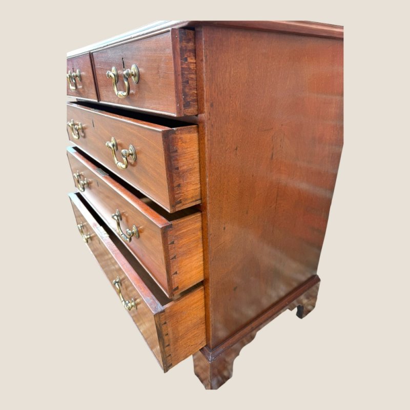 Small Antique Georgian Cuban Mahogany & Walnut Crossbanded Chest Of Drawers
