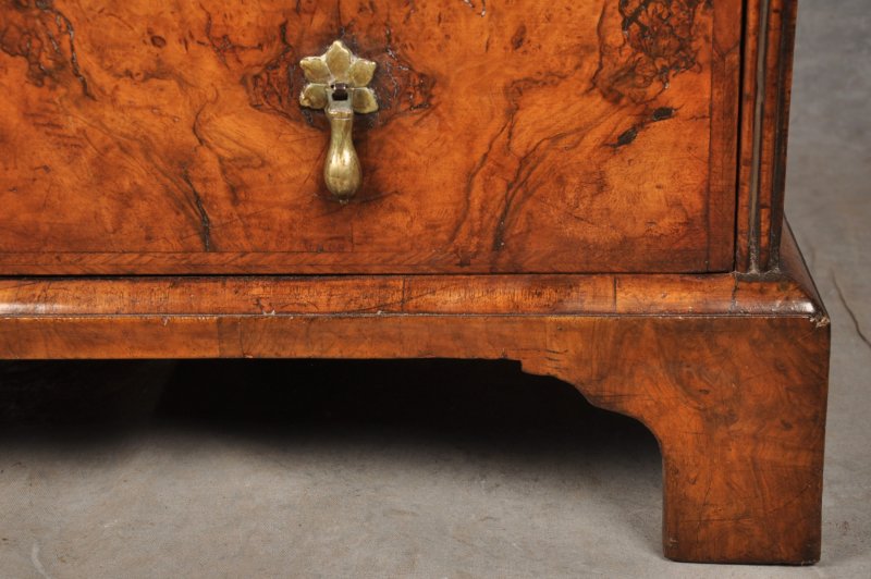 Small Early 18th Century Burr Walnut Bureau