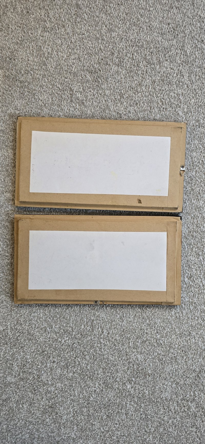 Two Framed Butterfly Pictures