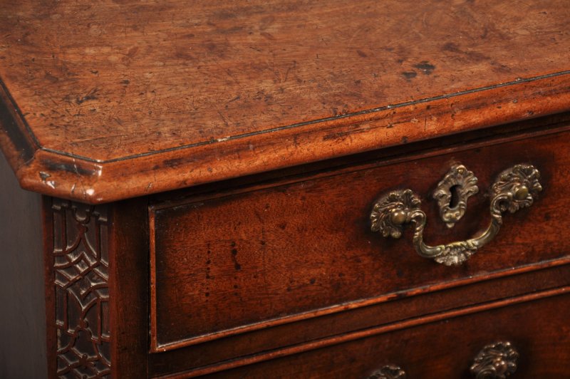 Fine 18th Century Mahogany Chippendale Chest Of Drawers - Image 6
