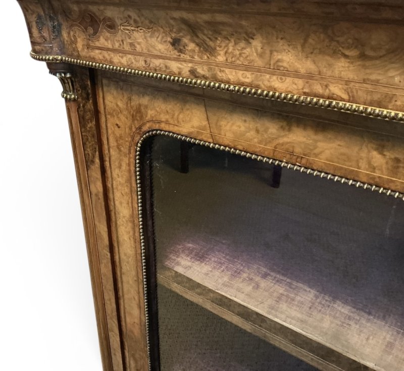 Victorian Burr Walnut Pier Cabinet - Image 10