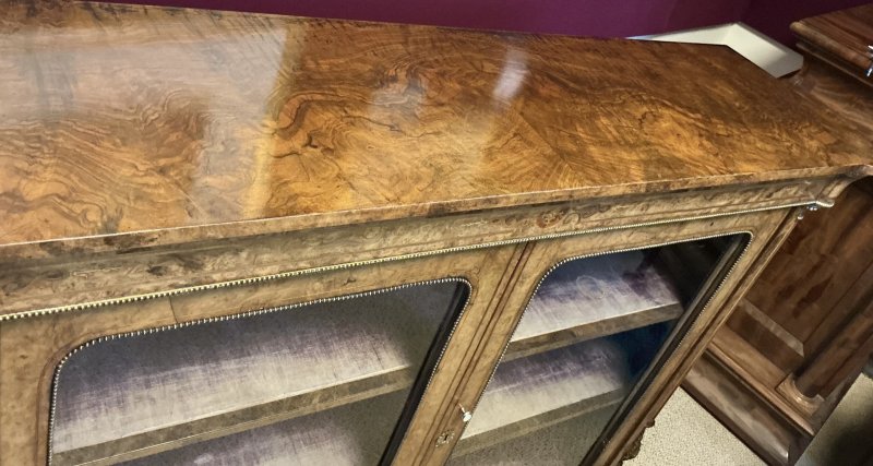 Victorian Burr Walnut Pier Cabinet - Image 12