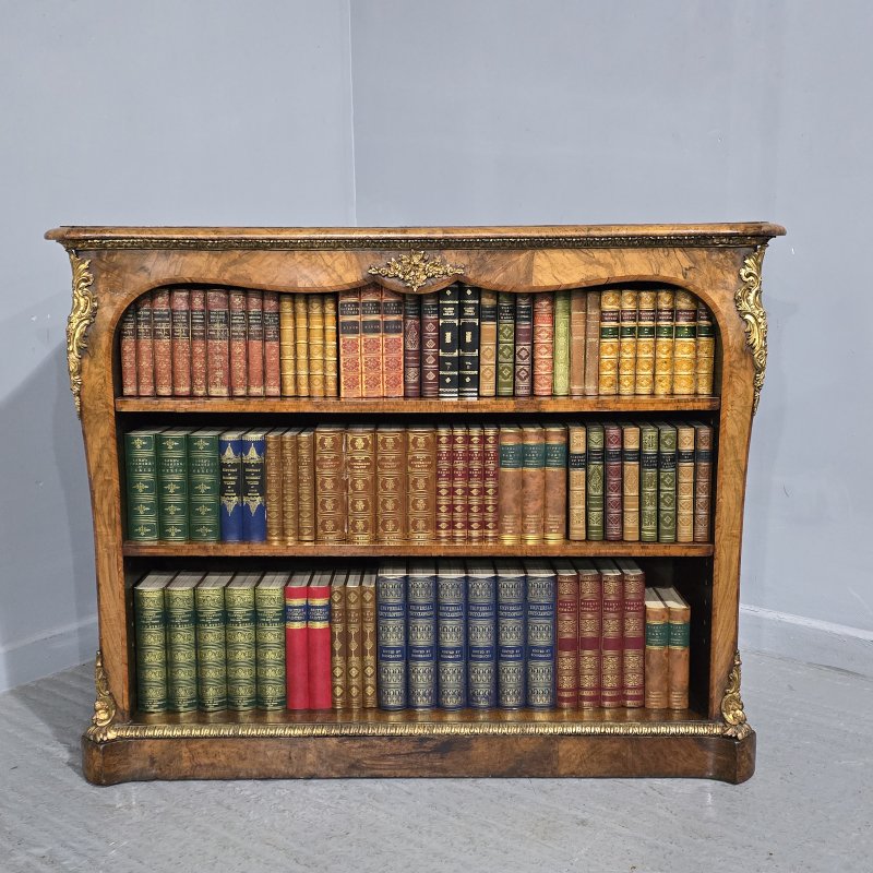 Top Quality English Walnut Open Library Bookcase