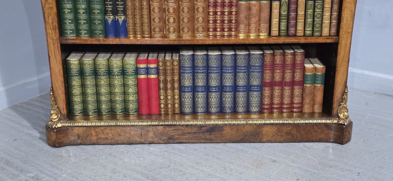 Top Quality English Walnut Open Library Bookcase