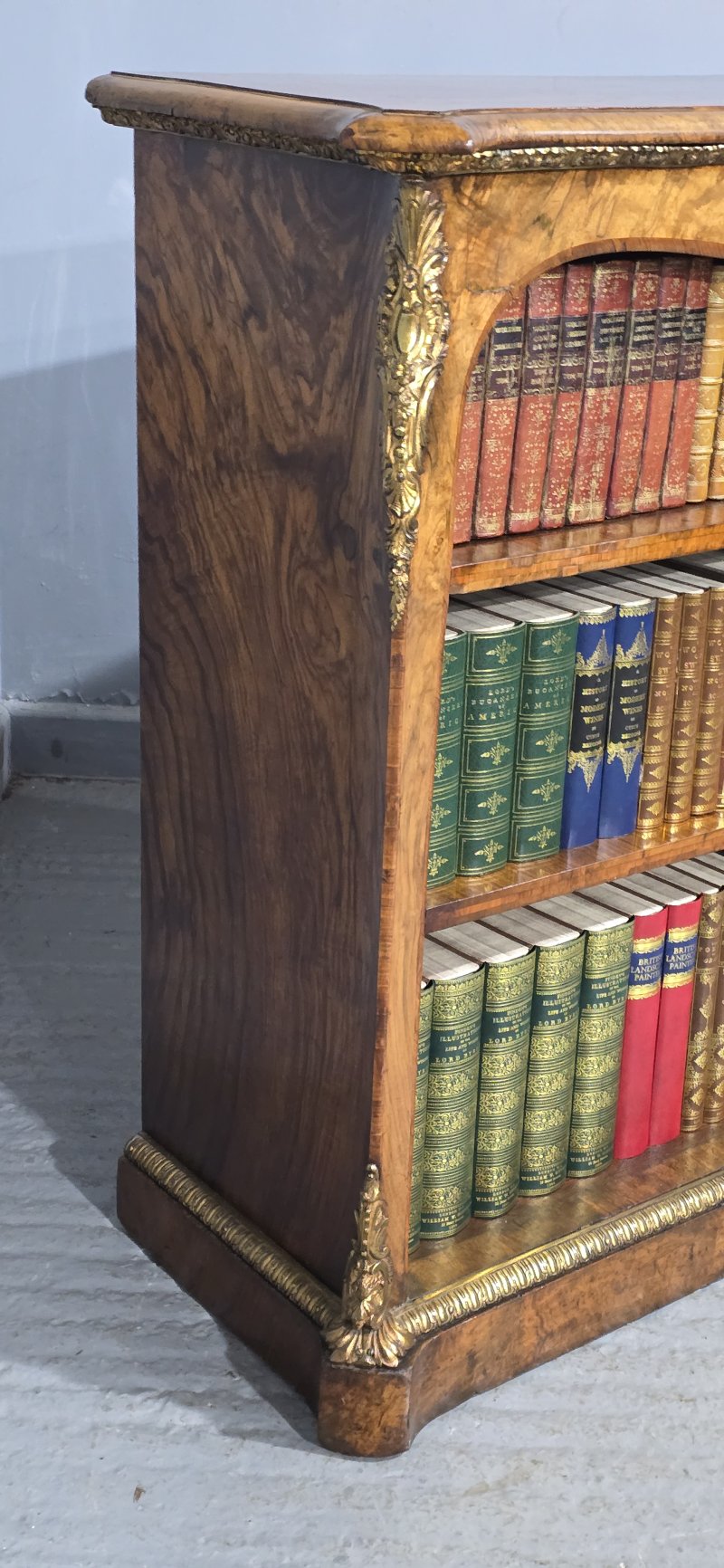 Top Quality English Walnut Open Library Bookcase