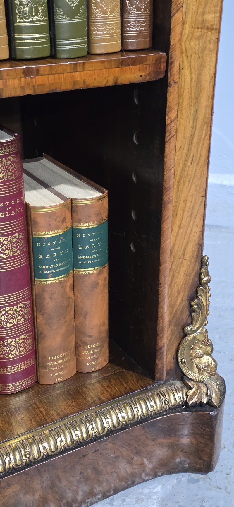 Top Quality English Walnut Open Library Bookcase