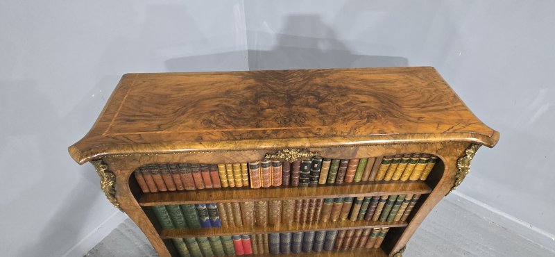 Top Quality English Walnut Open Library Bookcase