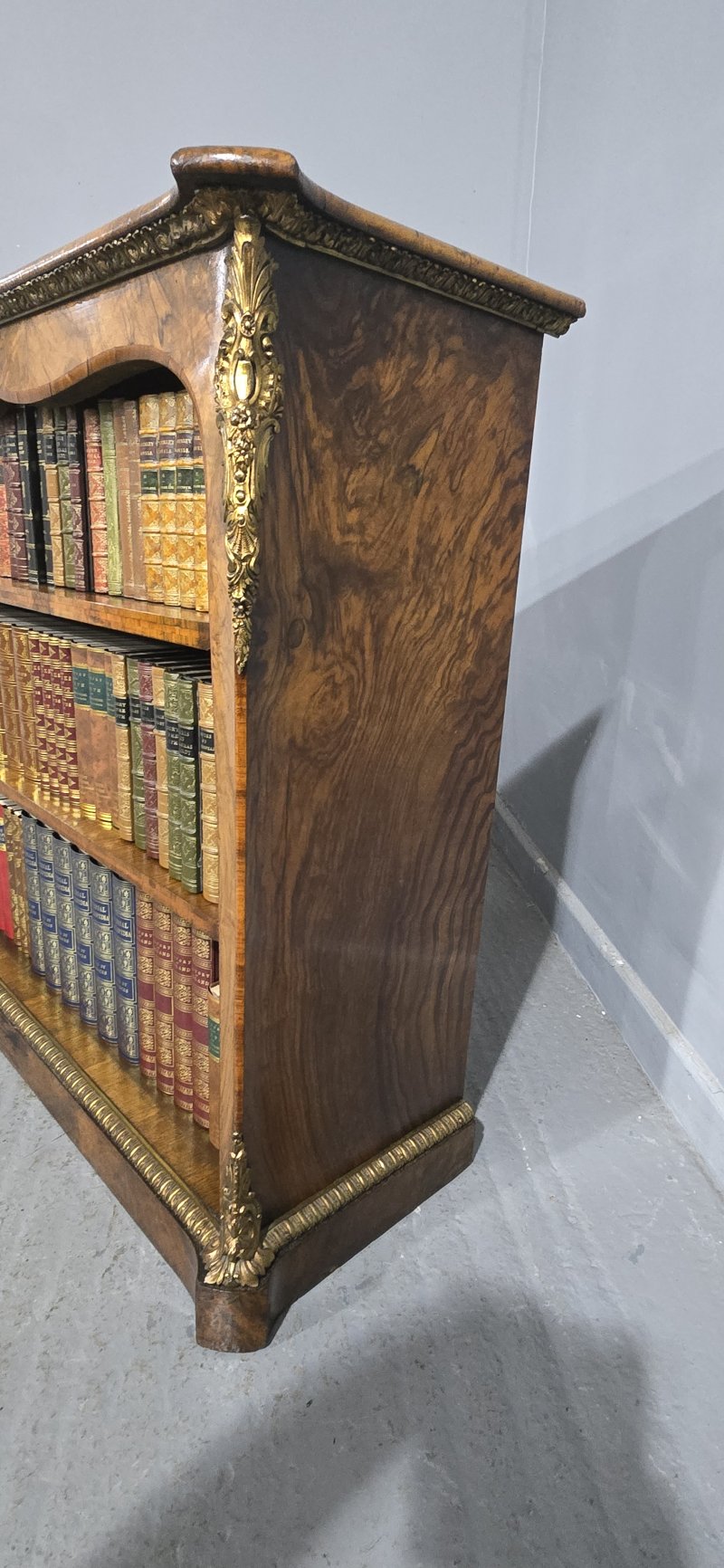 Top Quality English Walnut Open Library Bookcase