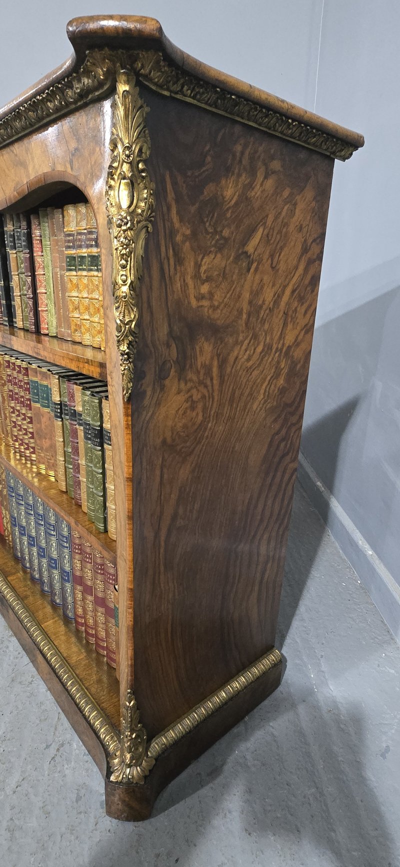 Top Quality English Walnut Open Library Bookcase