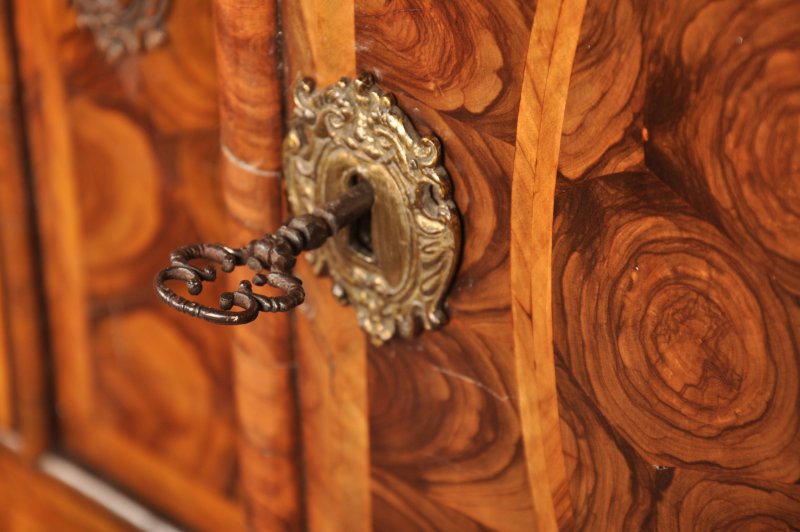 17th Century Olive Wood Oyster Cabinet - Image 14