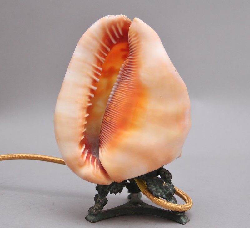 19th Century carved shell cameo lamp - Image 5