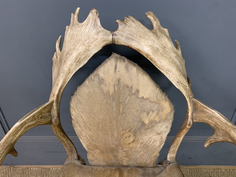 19th Century Stags Antler Armchair - Image 4